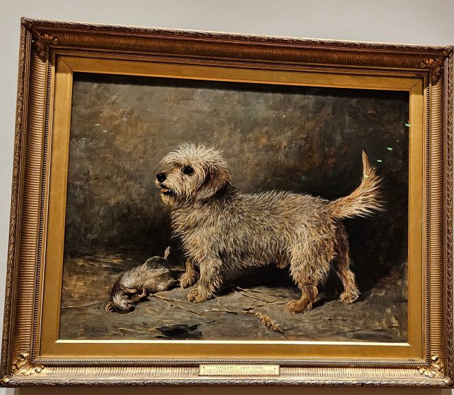 Greyfriars Bobby Day 2024 Edinburgh Tours And History